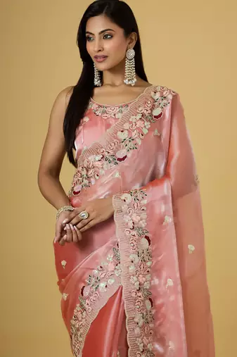 gajri color smart tissue fabric sequins work smart bollywood saree