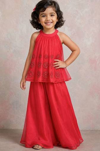 Red embroidered organza co ord set