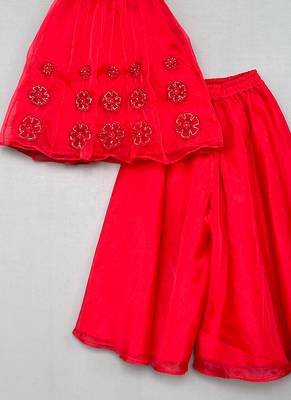 Red embroidered organza co ord set 2