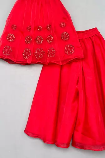 Red embroidered organza co ord set