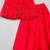 Red embroidered organza co ord set