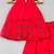 Red embroidered organza co ord set