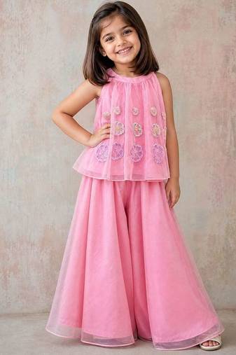 Pink embroidered organza co ord set
