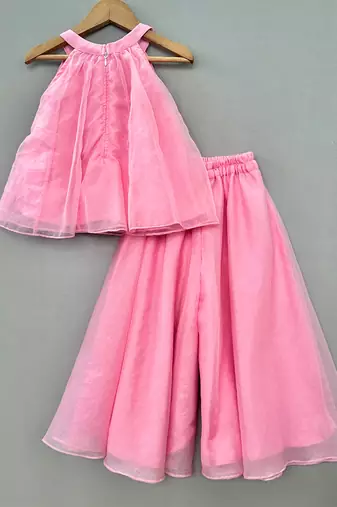 Pink embroidered organza co ord set