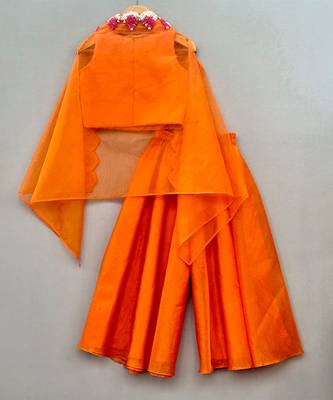 Orange embroidered organza cape co ord set 3