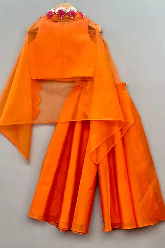 Orange embroidered organza cape co ord set