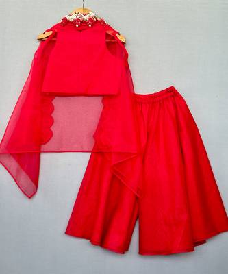 Red embroidered organza cape co ord set 2