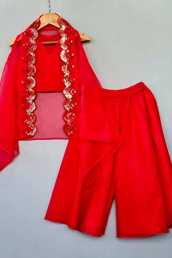 Red embroidered organza cape co ord set