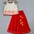 Red embroidered cotton lehenga set