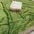 green color satin sequin embroidered work saree with contrast blouse