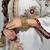 White georgette embroidered kurta set