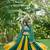 Emerald&Mustard Cotton Readymade Navratri Lehenga Choli with Bandhej Lace Work