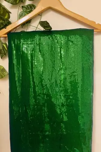 Green Embellished Sequinned Georgette Heavy Work Saree with Blouse
