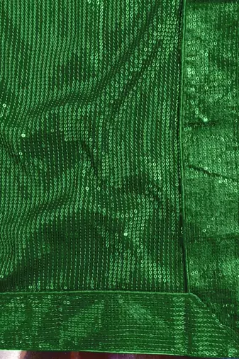 Green Embellished Sequinned Georgette Heavy Work Saree with Blouse