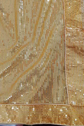 Embellished Sequinned Georgette Heavy Work Saree with Blouse