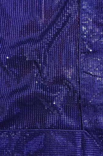 Embellished Sequinned Georgette Heavy Work Saree with Blouse