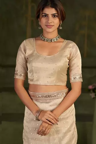 Embellished Sequinned Organza Heavy Work Bhagalpuri Saree