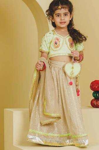 Green beige embroidered tissue organza lehenga set