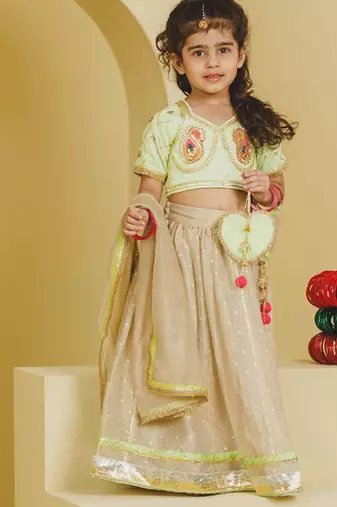 Green beige embroidered tissue organza lehenga set