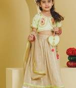 Green beige embroidered tissue organza lehenga set