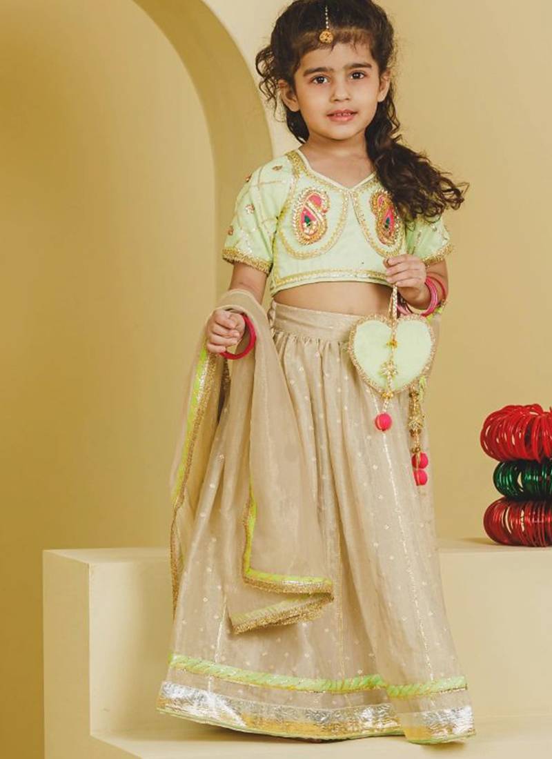 Green beige embroidered tissue organza lehenga set