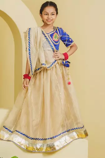 Blue beige embroidered tissue organza lehenga set