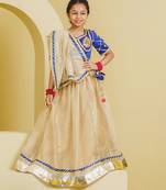 Blue beige embroidered tissue organza lehenga set
