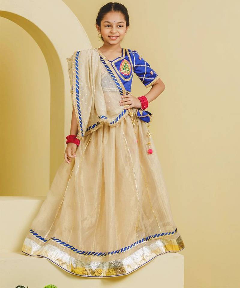 Blue beige embroidered tissue organza lehenga set