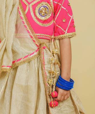 Pink beige embroidered tissue organza lehenga set 2