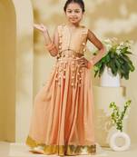 Peach embroidered georgette lehenga set