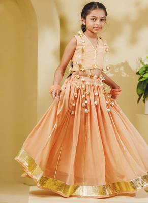 Peach embroidered georgette lehenga set 2
