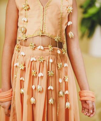 Peach embroidered georgette lehenga set 4