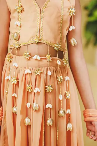 peach embroidered georgette girls lehenga set