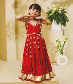 Red embroidered georgette lehenga set