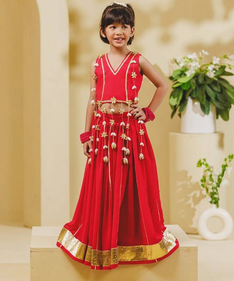 Pink embroidered georgette lehenga set