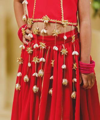 Pink embroidered georgette lehenga set 3