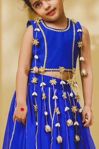 Blue embroidered georgette lehenga set