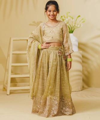 Pista green embroidered tissue organza lehenga set 1