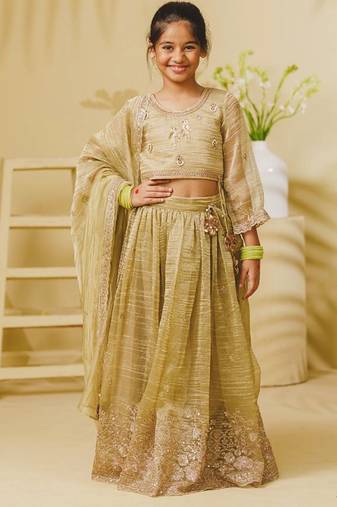 Pista green embroidered tissue organza lehenga set