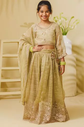Pista green embroidered tissue organza lehenga set