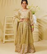 Pista green embroidered tissue organza lehenga set