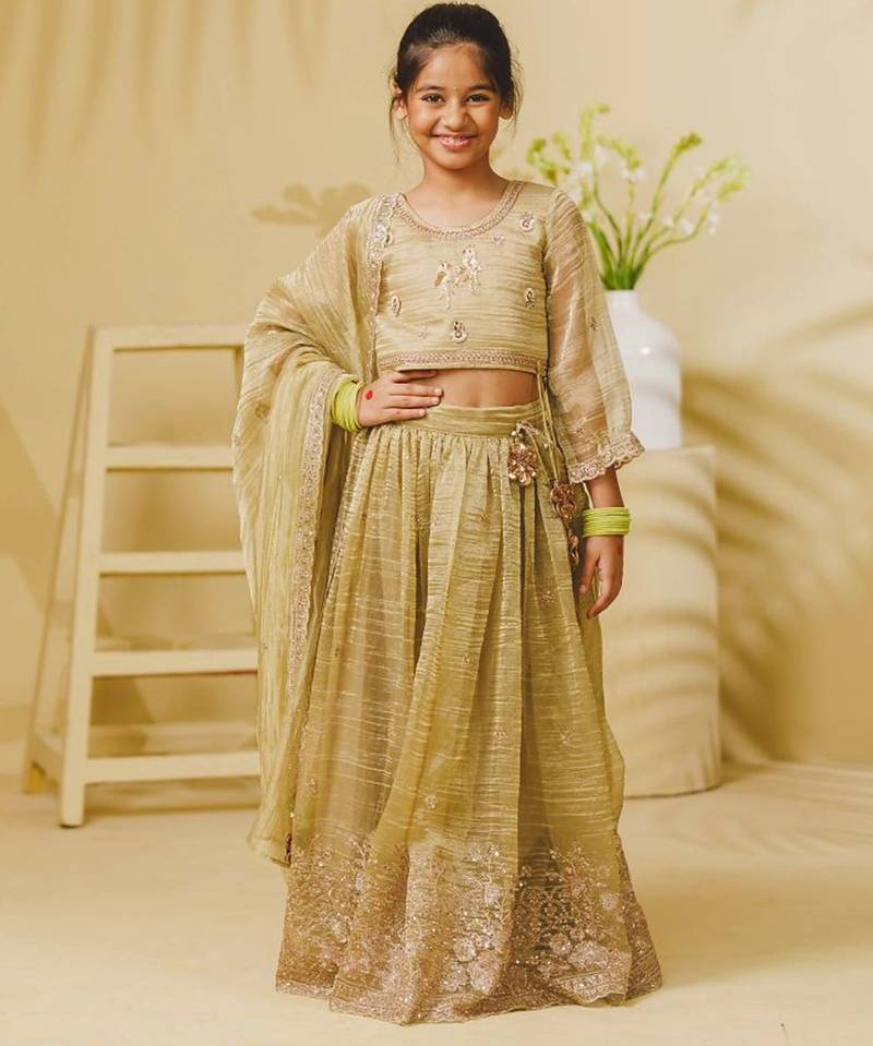 Pista green embroidered tissue organza lehenga set