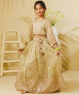 Pista green embroidered tissue organza lehenga set 2