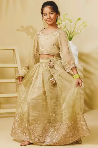 Pista green embroidered tissue organza lehenga set