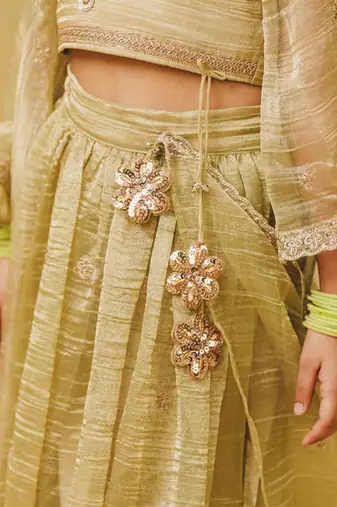 Pista green embroidered tissue organza lehenga set