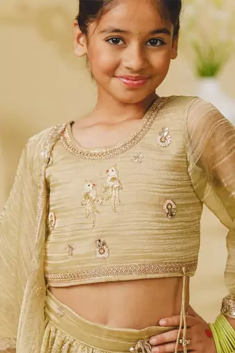 Pista green embroidered tissue organza lehenga set