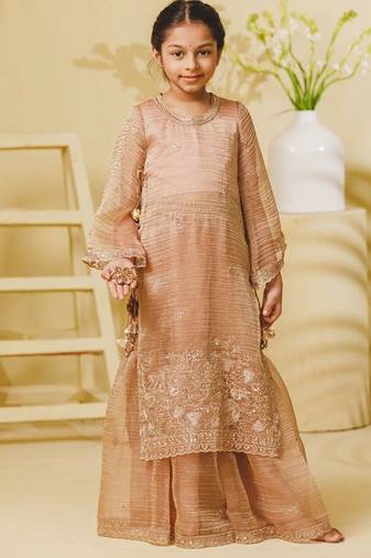 Peach embroidered tissue organza sharara set