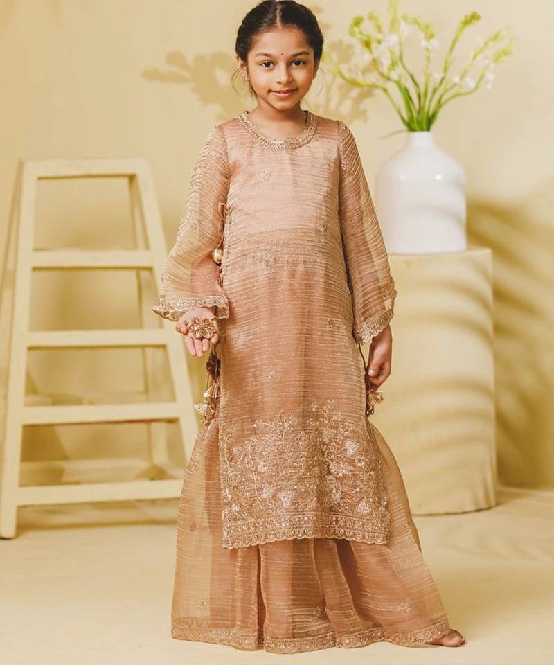 Peach embroidered tissue organza sharara set