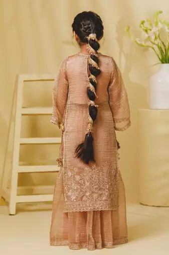 Peach embroidered tissue organza sharara set