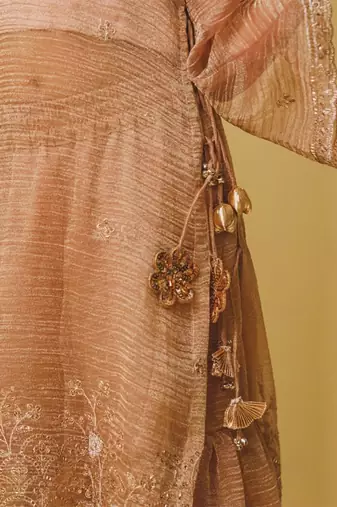 Peach embroidered tissue organza sharara set